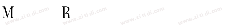 Meghan Regular字体转换